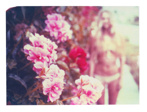 shop-title