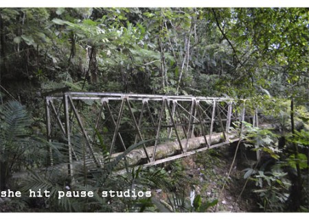 pr28