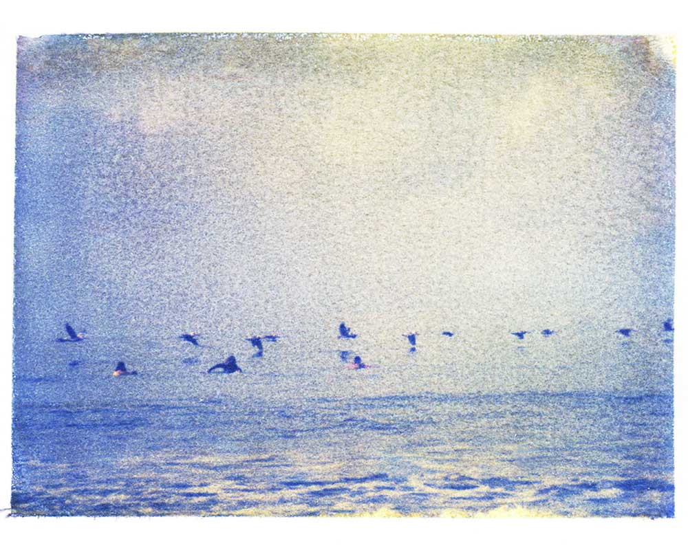 surfers and pelicans (ecuador)
