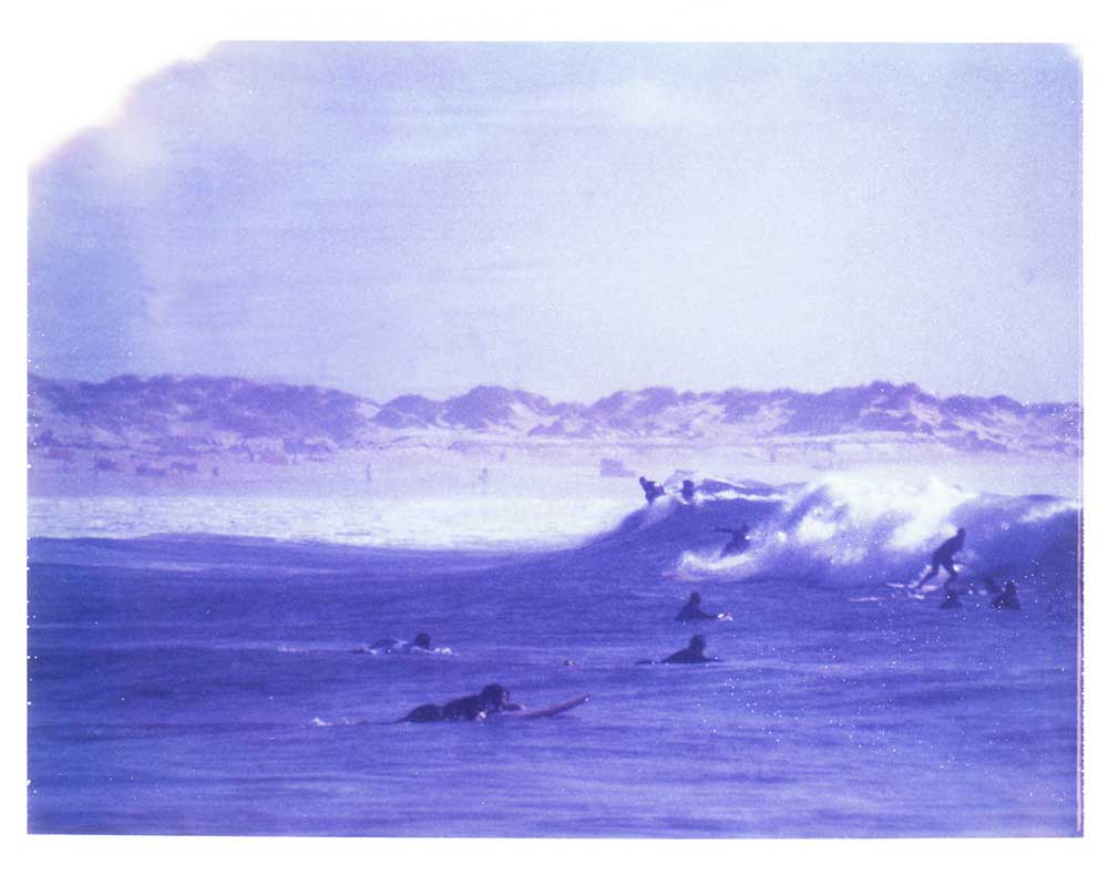 surfing in lavander