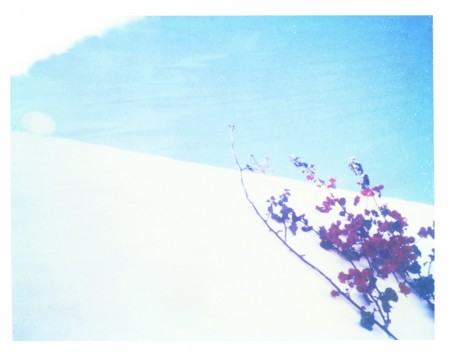 clung to you in pretty colors