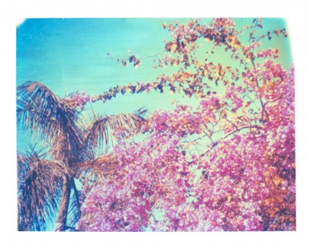 tropical-splatters-of-colors